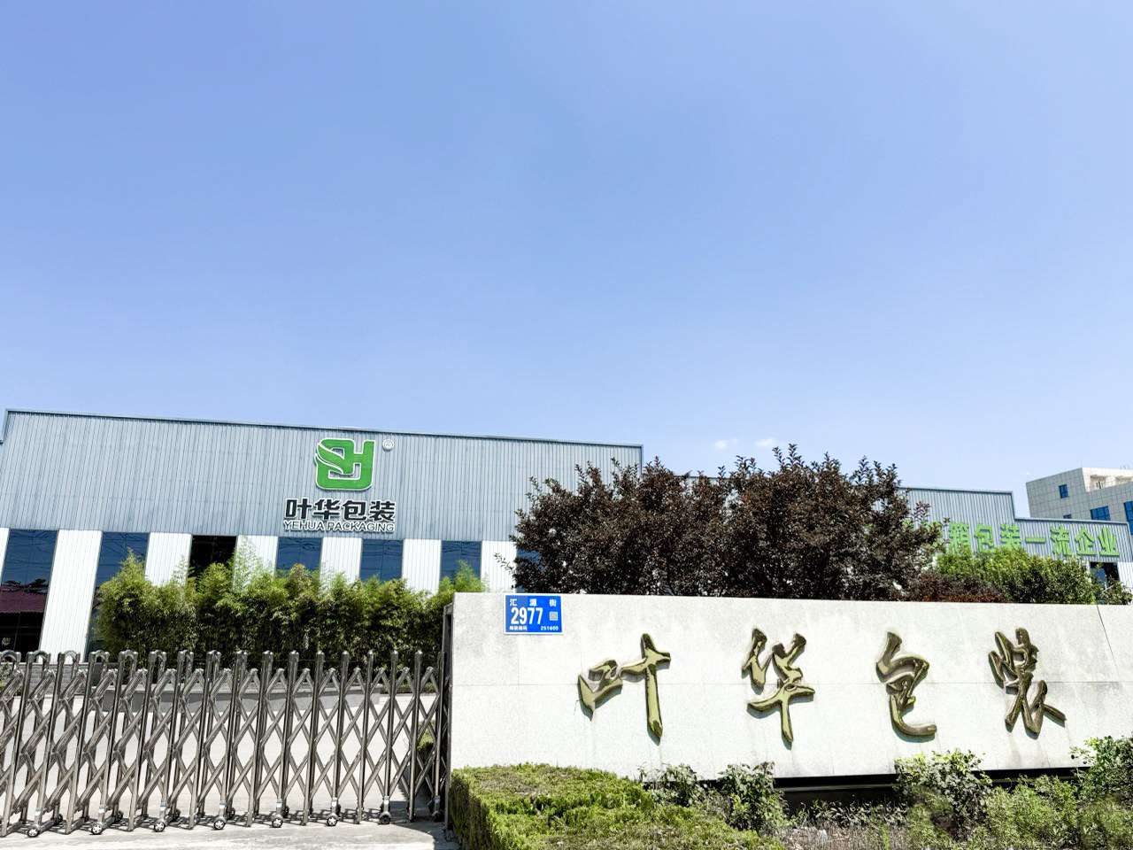 叶华.jpg